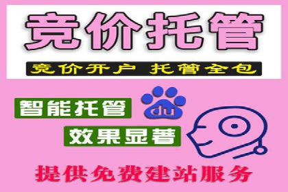 SEM专员的角色与成功案例解析